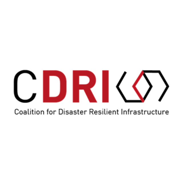 Consultant/Organization on New Technologies for Resilient Infrastructure