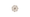 Postdoctoral Fellow – UNFPA Project on Elder Care and the Care Economy