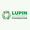 Lupin Human Welfare and Research Foundation