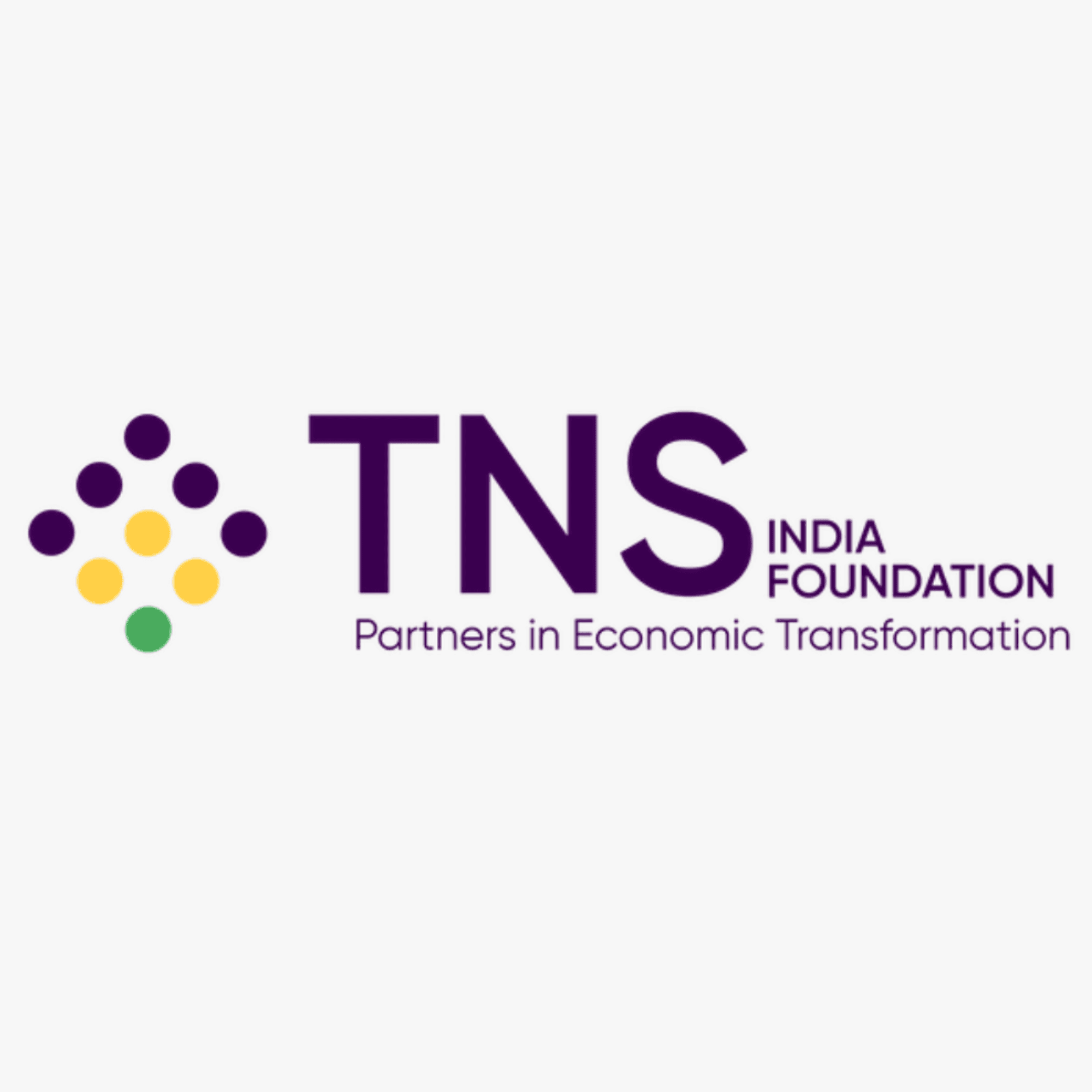 TNS India Foundation