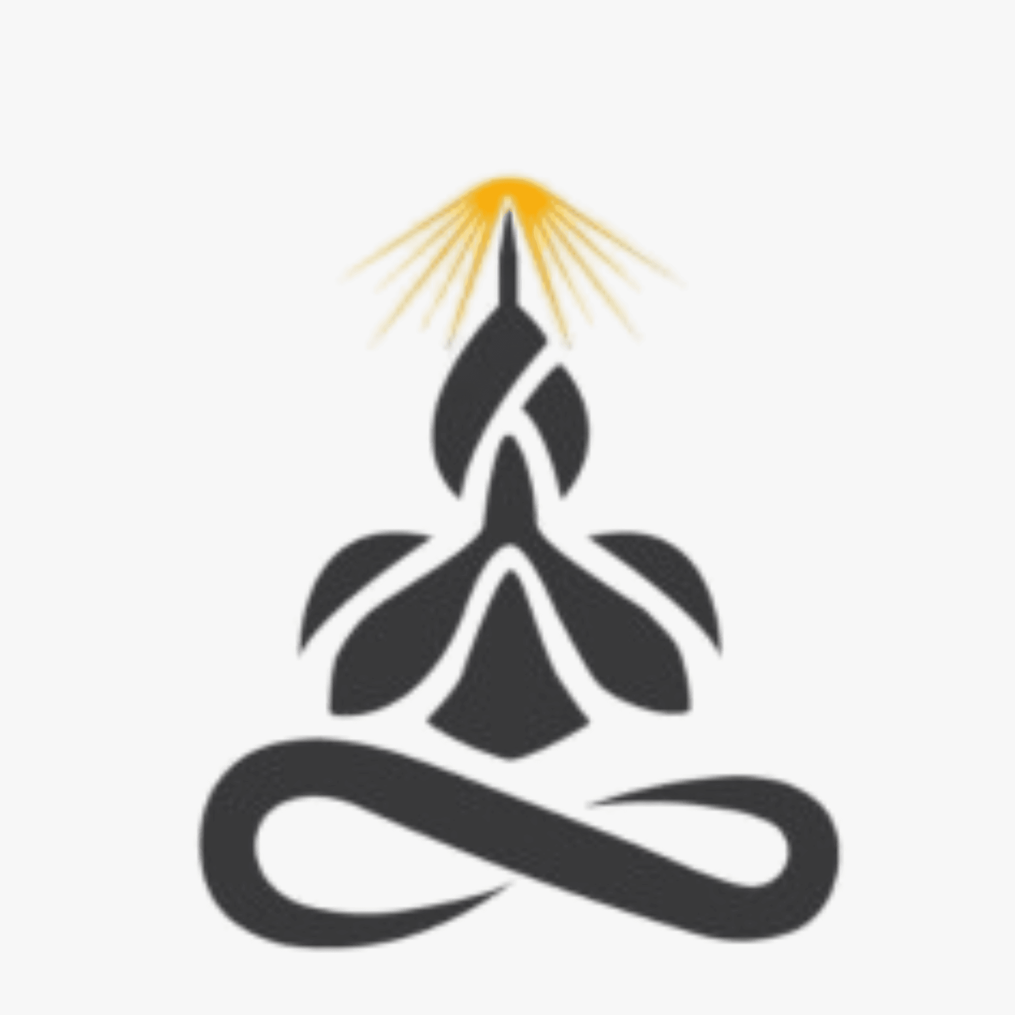 The Skill Guru Foundation
